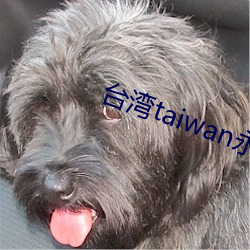 ̨taiwanwȤ03