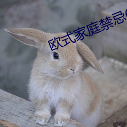 欧式家庭禁(jìn)忌6