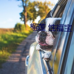 榴莲 性福宝 （租用）