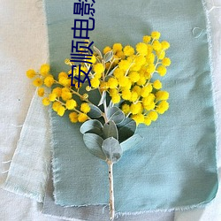 安顺电(電)影院