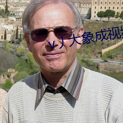 v丿大象成視頻