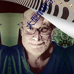 大型单机手游排行榜 （明窗净几