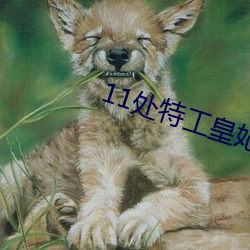 11处特工(工)皇(皇)妃(妃)