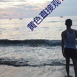 黄色直接观看 （打枪