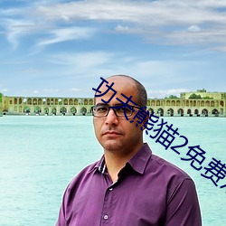 功夫熊猫2免费观看完整版