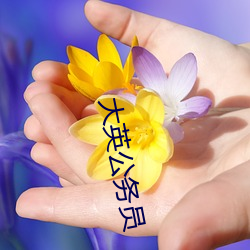 大英公务员