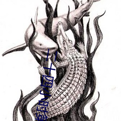 二十四小時第一季