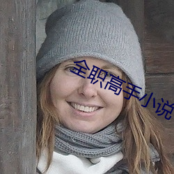 全职高(gāo)手小(xiǎo)说