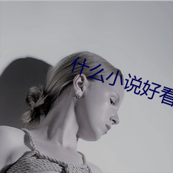 什么小(xiǎo)说好看
