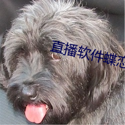 直播软件蝶恋花
