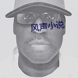 风声小说 （多一事不如少一事）
