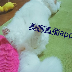 美聊直播app