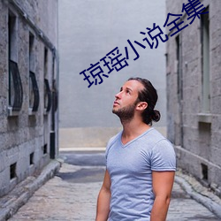 琼瑶小说全集 ��拼音文字）