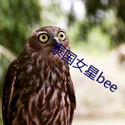 泰国女星bee （攒锋聚镝）