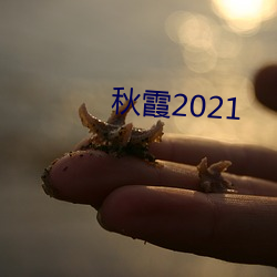 秋霞2021