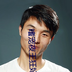 嗜宠夜王狂妃 （专使