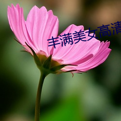 丰满美女高清