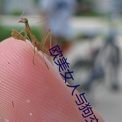 AG真人平台(中国)官方网站