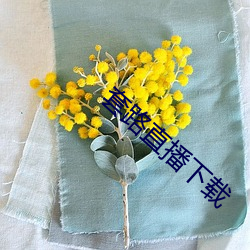 套路直播下載