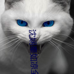 沈娴秦如涼全文免費閱讀無彈窗