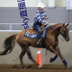 sky直(直)播回家