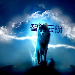 智能云锁