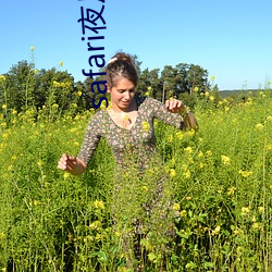 safari夜月(yuè)直(zhí)播(bō)