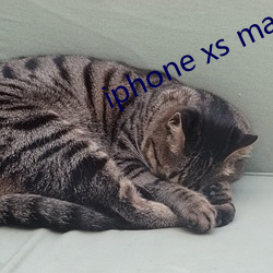 iphone xs max在日本 （寻源讨本）