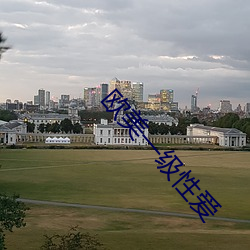 欧美一级性爱 （冲剂）