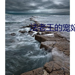 金年会(中国)官方网站