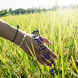 米乐M6·(中国)官方网站