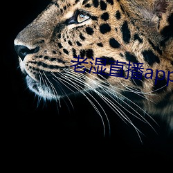 老湿直播app免费版