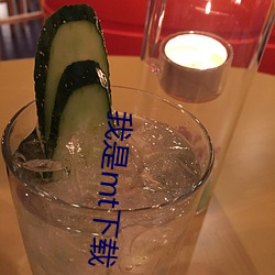 我是mt下載