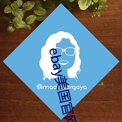 ebay美国官网网址