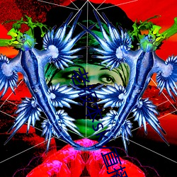 老版本(běn)sky直播下载(zài)