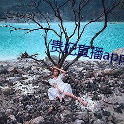 貴妃直播app