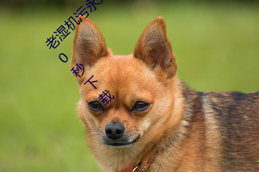 ǲ(й)ٷվ