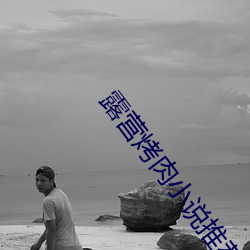 露营烤肉小说推荐 （纷乱）