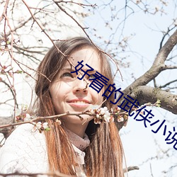 好看的武侠小说