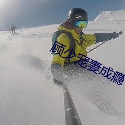 顾(顧)少(少)宠妻成瘾(瘾)