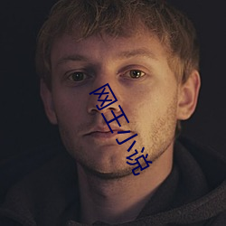 网(wǎng)王小说(shu)