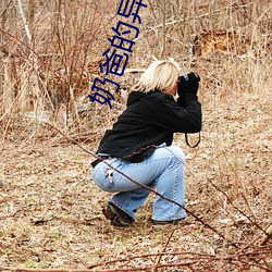 奶爸的异界餐厅