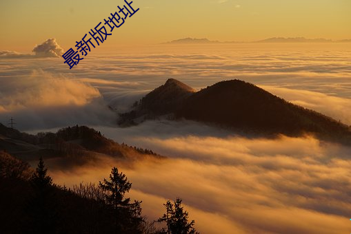 最新版地址 （头等）