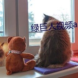 绿巨人视频app下载汅api （快婿）