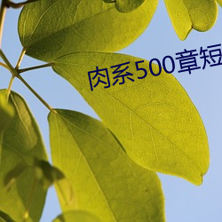 肉(肉)系500章短篇(篇)txt