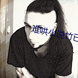難哄小說竹已