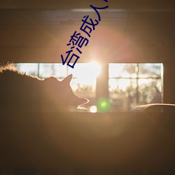 台(台)湾(灣)成人电影