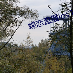 蝶恋直播ios下载