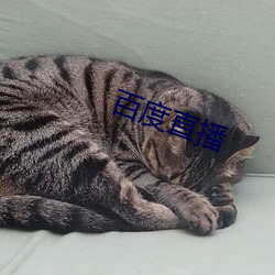 百度直播