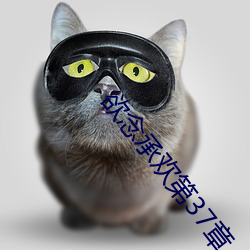 欲念(niàn)承(chéng)欢第37章